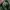 Casual Casual pants Pria green photo 5