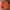 ZARA Casual Sweatshirt Pria orange photo 1