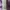 ZARA Casual Crop top Wanita purple photo 5