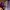 ZARA Casual Crop top Wanita purple photo 4