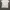 Off-White Casual T-shirt Wanita white photo 2