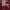 Burberry Luxury Casual T-shirt Pria burgundy white photo 7