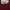Burberry Luxury Casual T-shirt Pria burgundy white photo 3