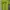 Balenciaga Luxury Casual T-shirt Pria multicolor green photo 4