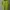 Balenciaga Luxury Casual T-shirt Pria multicolor green photo 1
