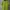 Balenciaga Luxury Casual T-shirt Pria Multicolor Green