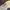 Gucci Luxury Minimalist Sweatshirt Wanita cream photo 3