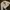 Gucci Luxury Minimalist Sweatshirt Wanita cream photo 1
