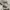 Maison Kitsuné Avant Garde Casual Sweatshirt Pria white cream photo 6