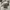 Maison Kitsuné Avant Garde Casual Sweatshirt Pria white cream photo 5