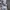 Adidas Vintage Streetwear T-shirt Pria gray photo 3