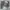 Vintage Y2K T-shirt Pria gray photo 2