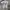Vintage Y2K T-shirt Pria gray photo 1