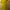 Vintage Casual dress Wanita yellow photo 3