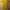 Vintage Casual dress Wanita yellow photo 1