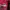 Kapital Kountry Vintage Y2K Hoody Pria red photo 3