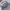 Luxury Crop top Wanita multicolor photo 3