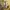 Adidas Streetwear Casual Track jacket Pria tan photo 3