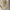 Carhartt Vintage Streetwear Sweatshirt Pria white gray photo 4