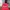 Titleist Luxury Sportswear Hat Pria red photo 1