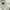 Fairy Coquette Midi dress Wanita white photo 2
