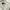 Fairy Coquette Midi Dress Wanita White