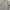 Japanese Brand Streetwear Y2K Puffer Jacket Pria Cream