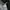 Undercover Streetwear Luxury Windbreaker Pria black photo 5