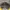 New Era Sportswear Casual Hat Pria black yellow photo 5