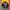 New Era Sportswear Casual Hat Pria black yellow photo 6