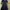 Vintage Casual dress Wanita navy photo 2