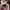 Nike Casual Sneakers Pria red photo 8