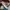 Columbia Sportswear Sneakers Pria multicolor photo 2