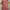 Le Coq Sportif Vintage Midi dress Wanita white red photo 2