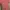 Le Coq Sportif Vintage Midi dress Wanita white red photo 4