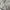 OshKosh Streetwear Casual Casual pants Pria tan khaki photo 7