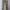 OshKosh Streetwear Casual Casual pants Pria tan khaki photo 4