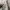 OshKosh Streetwear Casual Casual pants Pria tan khaki photo 6