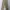 OshKosh Streetwear Casual Casual pants Pria tan khaki photo 4