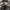 Casual Hoody Pria gray photo 4