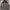 Casual Hoody Pria gray photo 1