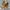 Timberland Y2K Boots Pria gold photo 2