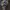 Tommy Hilfiger Streetwear Y2K Sweatshirt Pria brown photo 4