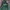 Casual Hoody Pria Green