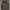 Fear of God ESSENTIALS Streetwear Luxury Hoody Pria tan photo 1