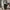 Gorpcore Sportswear Tracksuit Pria black photo 1