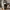 Gorpcore Sportswear Tracksuit Pria black photo 3