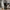 Adidas Gorpcore Sportswear Tracksuit Pria white black photo 3