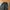 Adidas Gorpcore Sportswear Tracksuit Pria white black photo 5