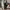 Adidas Gorpcore Sportswear Tracksuit Pria white black photo 1